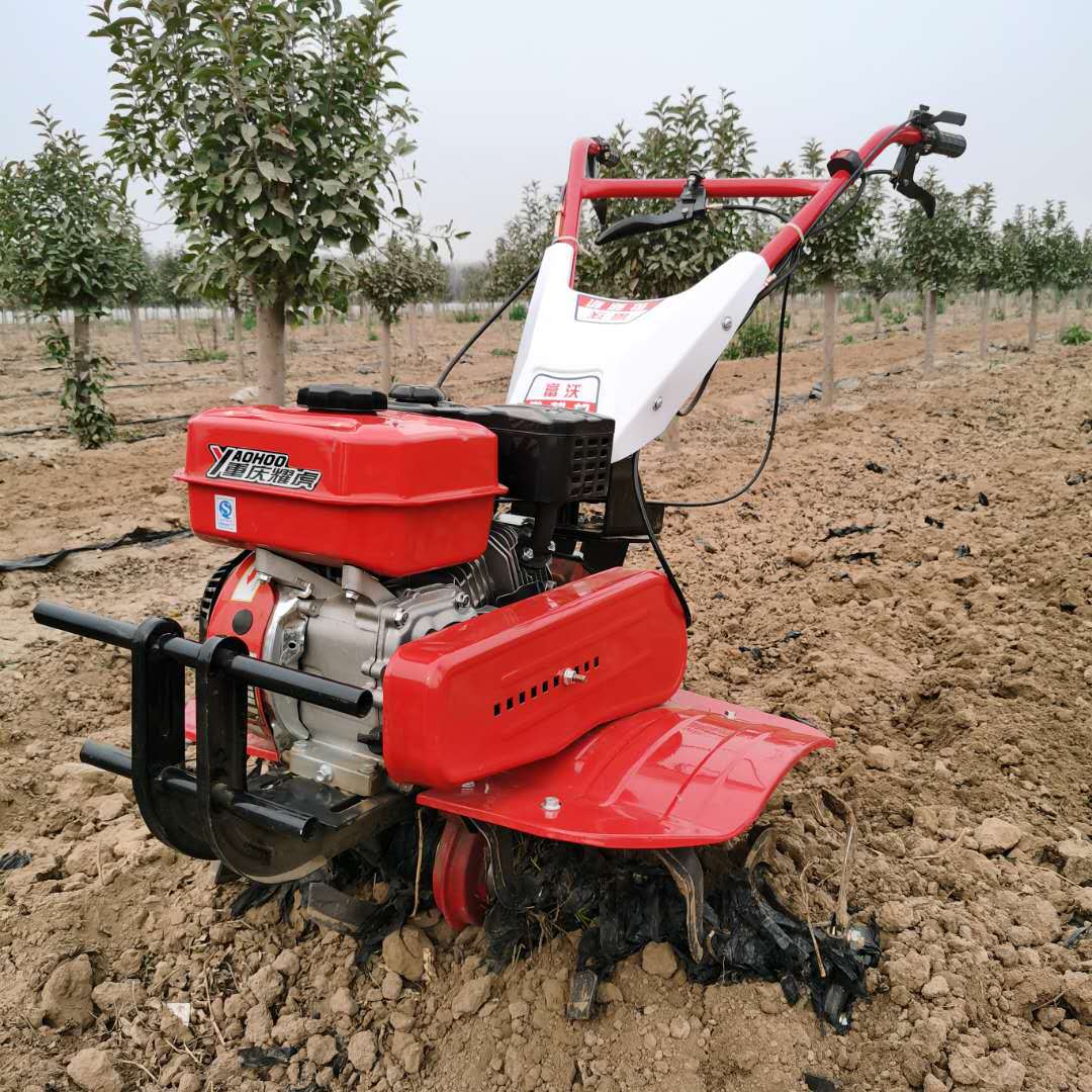 고성능 장수명 올기어 마이크로 경운기(농업용, 언덕 및 - Agriculture Farming Job 리뷰 및 가격
